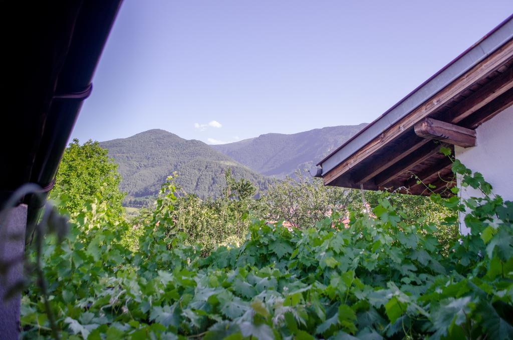Guesthouse Juli 萨帕雷瓦巴尼亚 外观 照片