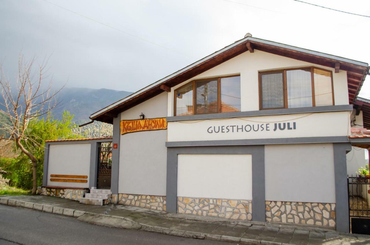 Guesthouse Juli 萨帕雷瓦巴尼亚 外观 照片